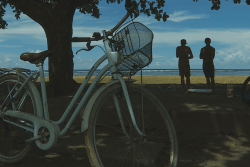 Municipales 2026 Papara : la jeunesse pourrait bien arbitrer le scrutin de dimanche prochain