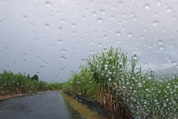 Vigilance jaune fortes pluies et orages dans le Nord et l'Est de La Réunion de 5h à 10h ce jeudi 