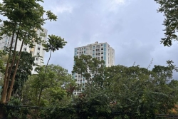 Assies. Une victime handicapée à vie et 15 ans de prison pour l'auteur des violences