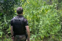 Opération Mata’i Rorofai contre les stupéfiants : offensive sans précédent de la gendarmerie sur terre, mer et air