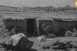 19 mars 1946 : Il y a 80 ans, La Réunion devenait département français