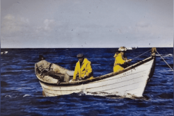 Il est l'un des derniers témoins de la pêche en doris : Bernard Télétchéa témoigne