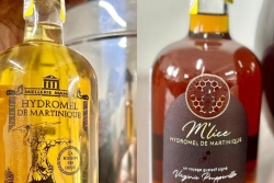 La Martinique expérimente l’hydromel, une boisson à base de miel fermenté