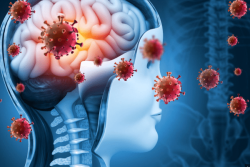 Méningocoque à Tahiti : un trentenaire hospitalisé, alerte sur des formes potentiellement mortelles