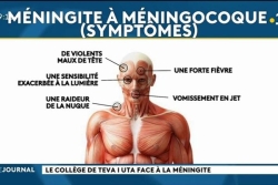 Cluster de méningites au Royaume-Uni, un cas de méningocoque à Papeete : vigilance face à une maladie rare mais foudroyante