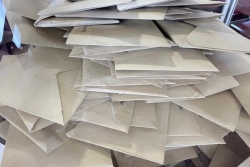 47% de participation : le deuxième tour des municipales mobilise plus que le premier en Guyane