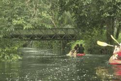 Kayak à Roura : une journée de sensibilisation pour la Semaine mondiale de l’eau 