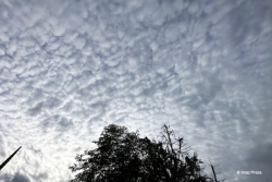 Soleil le matin, averses orageuses l’après-midi dans les hauts