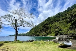 Soleil le matin, averses l’après-midi dans le Nord et l’Est