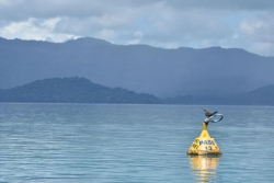 Le parc naturel marin de Mayotte annonce de nouvelles règles d'utilisation des dispositifs d'amarrage, qui demeurent "fragilisés"