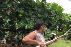 À Wallis et Futuna, une enquête inédite sur l’alimentation et l’agriculture locale