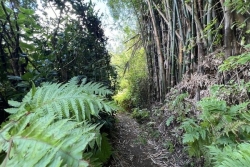 REPLAY. Dann kèr la Rényon: Radio Péi au coeur du Brûlé dans la Vallée Heureuse