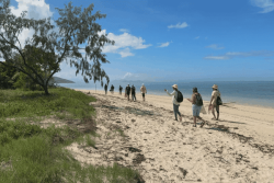 VIDÉO. Une cinquantaine de bénévoles participent au comptage des nids de puffins sur l'îlot Isié à La Foa