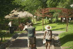 VIDÉO. Au Parc forestier, une journée organisée pour se reconnecter à la nature à l'occasion de la 20ème édition du Earth Hour