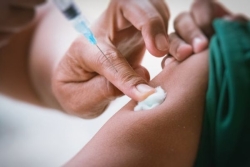 Chikungunya : entre appel à la vaccination des infectiologues et risques d'effets indésirables