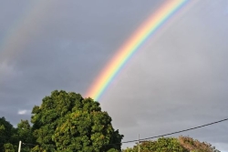 Météo : retour au vert en Guadeloupe, maintien de la vigilance jaune dans les îles du Nord