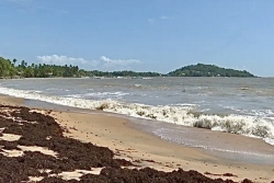 Rémire-Montjoly : trois jours de recherches et deux drames, la sécurité des baignades en question