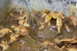 Morne-à-l’Eau a fait sa fête au crabe !