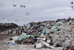Gérer les déchets coûte deux fois plus cher à Saint-Pierre-et-Miquelon qu’au niveau national : la collectivité prépare un plan 