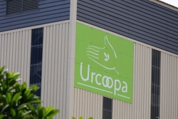 Henri Lebon reste le président de l'URCOOPA, sur décision du juge des référés