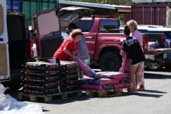 Opération "Croquettes solidaires" : le gouvernement distribue 4,5 tonnes de nourriture pour animaux aux associations