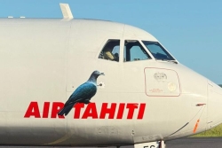 68 pilotes d'Air Tahiti en grève