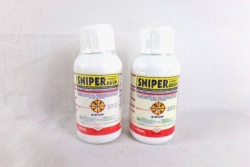 Punaises de lit : un insecticide interdit en France continue à circuler et a fait quatre morts, des intoxications signalées en Outre-mer