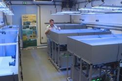 Un laboratoire pour faire du microbouturage de corail en marge des travaux d'agrandissement du grand port maritime