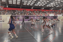 La Tamponnaise, 15 fois reines du basket-ball : une dynastie qui ne tremble pas