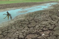 La moitié de la Guadeloupe en alerte sécheresse, le niveau des nappes en cause