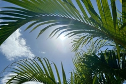 Météo : retour au vert en Martinique après un épisode pluvieux