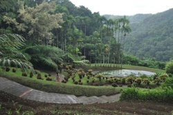 Tourisme : le Jardin de Balata dans le top 1 % mondial sur TripAdvisor, le Zoo de Martinique également distingué