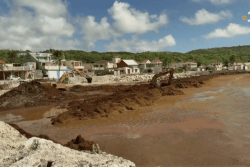 REPORTAGE. Sargasses : le calvaire des habitants de Capesterre de Marie-Galante