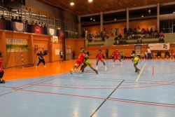 Playoffs de handball : l'AJSE complète l'affiche des finales