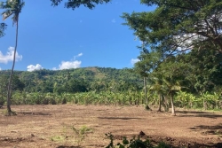 Foncier à Mayotte : un nouveau décret réduit à dix ans l’acquisition par prescription d’un terrain