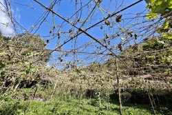 Sécheresse à La Réunion : 2 milliards de m3 d'eau en moins lors de la dernière saison des pluies