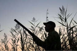 Placements risqués et dépenses controversées : la fédération des chasseurs de Guadeloupe face à un déficit de 850 000 euros
