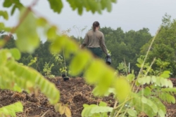 Fête de la nature à Goyave : des lycéens mobilisés aux côtés de l’ONF pour restaurer la forêt de Sarcelle
