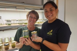 « Le pilier de la vie, c'est la Nature » : le laboratoire d'Aoa Polynesian Forests pour sauver les plantes endémiques 