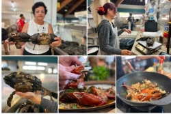 Comment bien choisir son crabe de palétuviers ?
