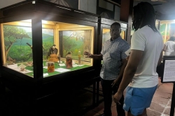 Nuit européenne des musées en Guyane : une découverte ludique et culturelle au musée Franconie