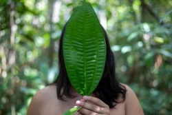 "Je préfère dire que j'ai tué quelqu'un plutôt qu'avouer mon homosexualité" : en Guyane, la jeunesse LGBTQIA+ avance discrètement vers l'acceptation