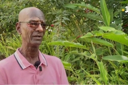 Pawòl Djòk : Alain Géloto, près de 40 ans avec les soldats du feu à Basse-Terre