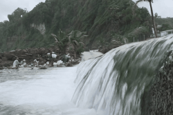 VIDEO. Chlordécone : une pollution qui gagne aussi les milieux aquatiques