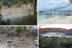 Journée mondiale de l'environnement : pourquoi les Outre-mer sont en première ligne ?