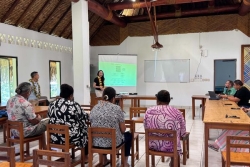 Financement des entreprises à Wallis et Futuna : la CCIMA et les acteurs bancaires mobilisés