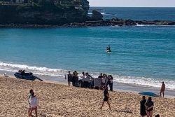 Australie: une nageuse dans un état critique après avoir été mordue par un requin à Sydney