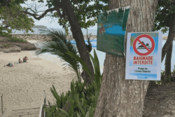 Contamination des plages du Gosier : une interdiction de baignade dont les usagers n’ont pas connaissance