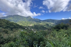 VIDEO. Le Morne Vert et ses sentiers enchanteurs séduits les jeunes