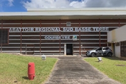 COLD CASE. Les abattoirs du Sud Basse-Terre 1/5 : la tuerie de Baillif